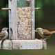 Why You Need to Put Away Your Bird Feeders and Baths Right Now - Lifehacker 2 Image for article titled Why You Need to Put Away Your Bird Feeders and Baths Right Now